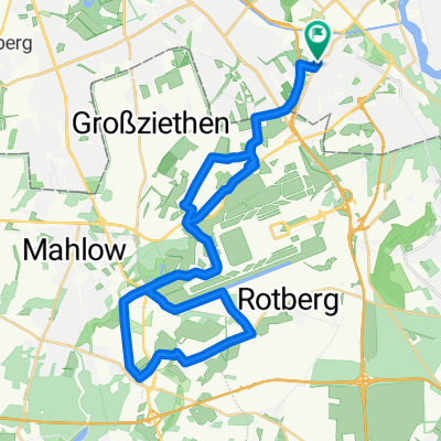 Tollkrug