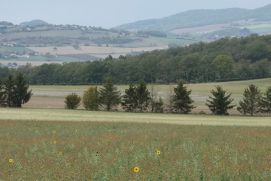 2019-20 Issoire Circle toward Condat-lès-Montboissier