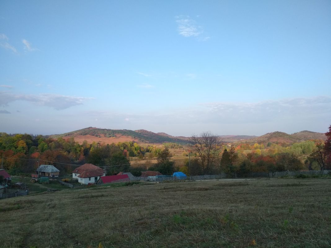 suncuius zecehotate damis bratca
