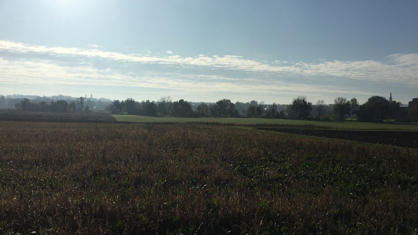 Wörth-Laberweinting-SR_Laabertal_Hagen