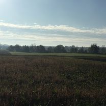 Wörth-Laberweinting-SR_Laabertal_Hagen