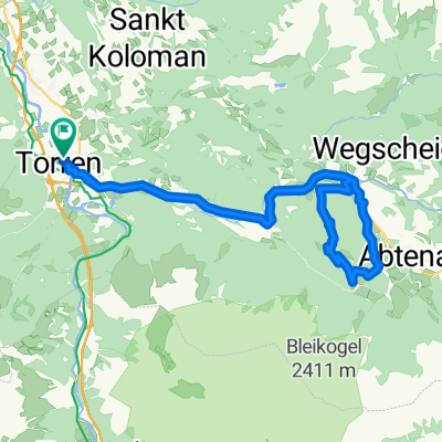 Mörderische Fahrt in Golling an der Salzach