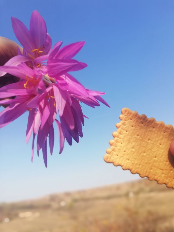 Oradea - Paleu - Uileacu de Munte - Săldăbagiu