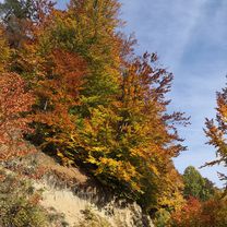 PANORAMABLICK