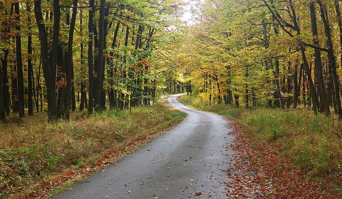 Foto 2 der Bikemap-Route "TO-Nemecky-Duchonka-Zahrady-Nemcice-TO" Foto 2 der Bikemap-Route "TO-Nemecky-Duchonka-Zahrady-Nemcice-TO"