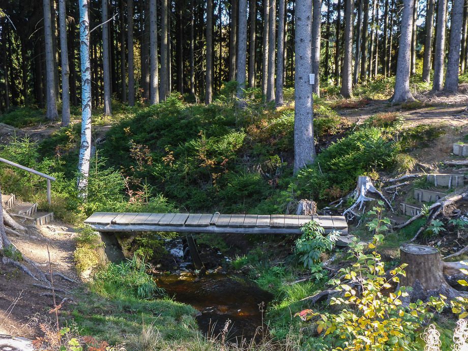 Felsenweg 2 bei Grünbach im Vogtland