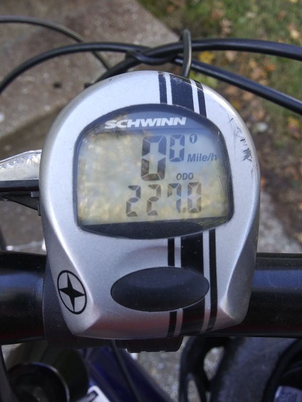 Rode to P.O. then back home!