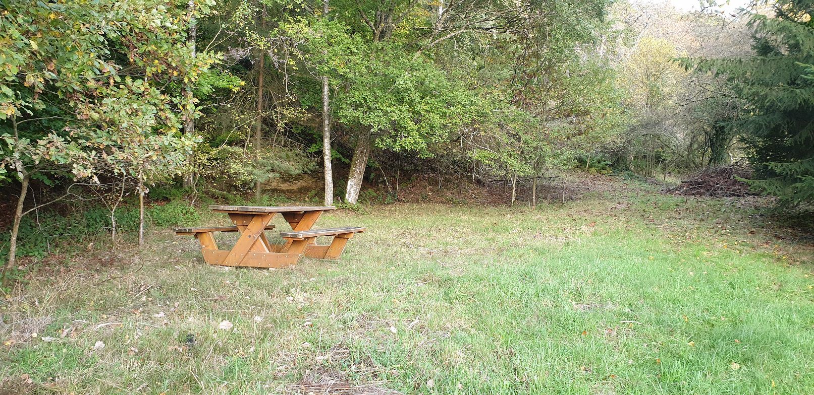 Biwaktour Marscherwald