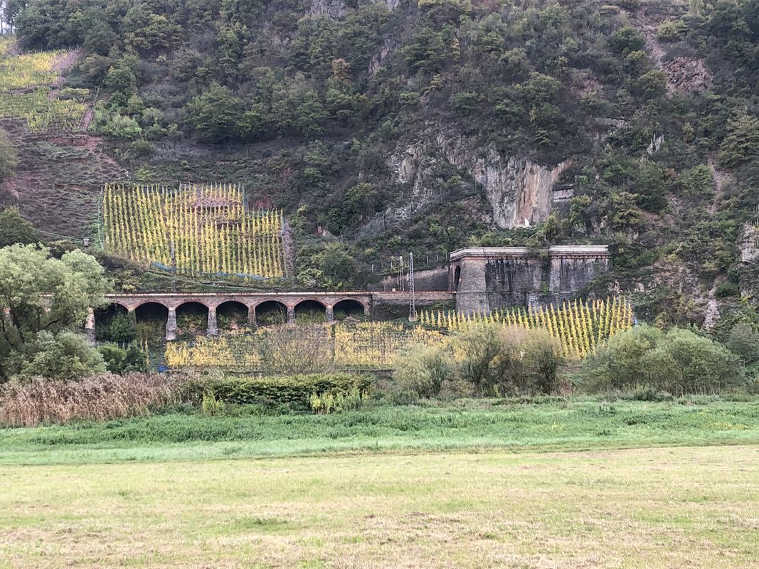 Gerade Fahrt in Alf an der Mosel