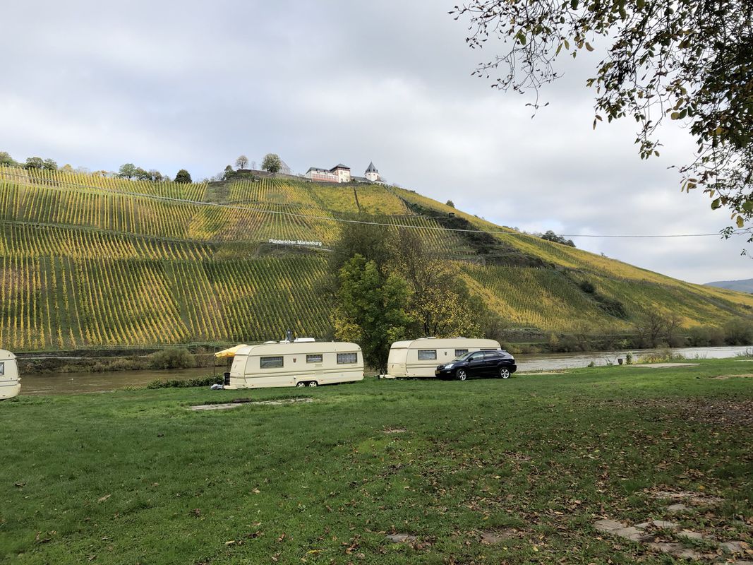 Gerade Fahrt in Alf an der Mosel