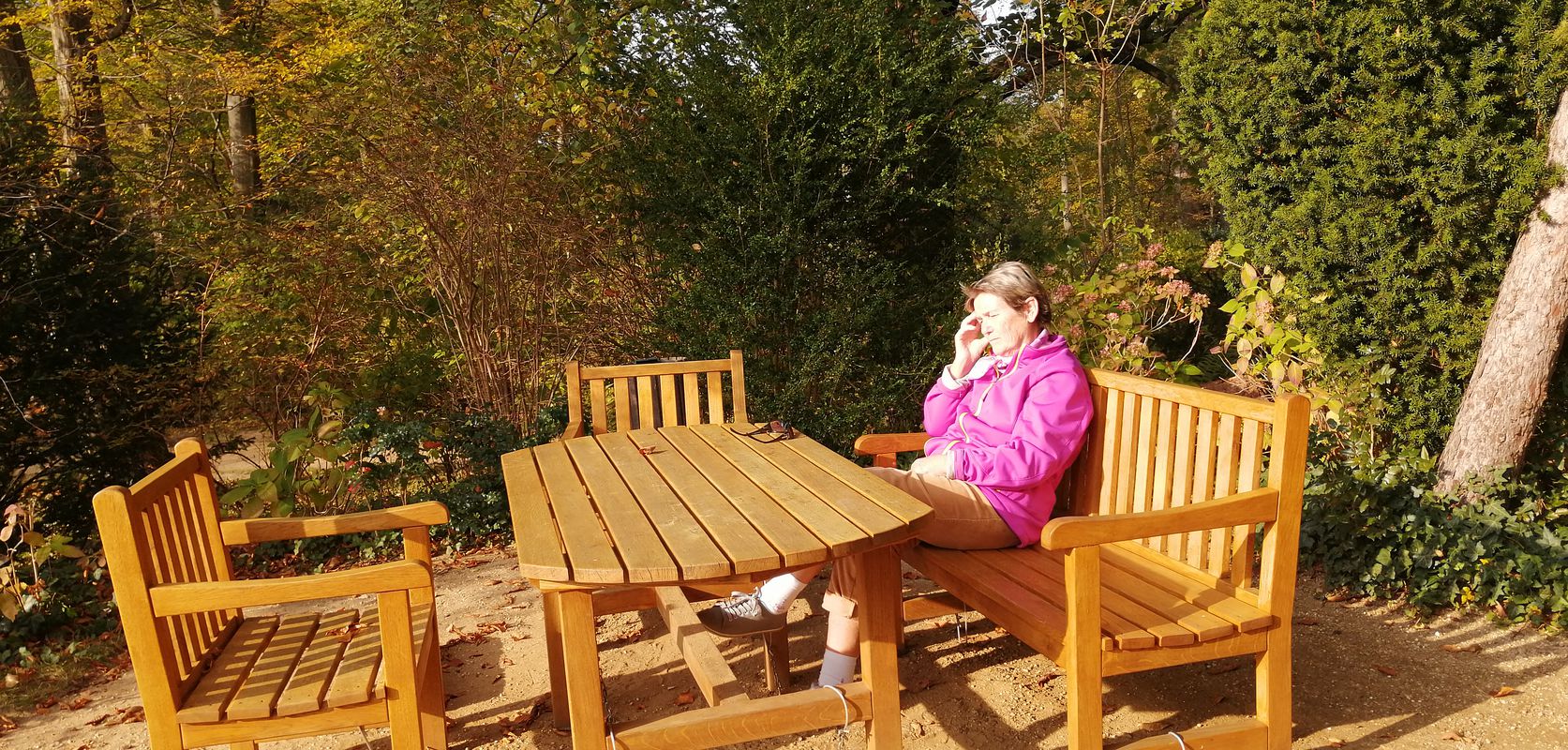 Herbstliche Sonnenfahrt zum Branitzer Park-Cottbus