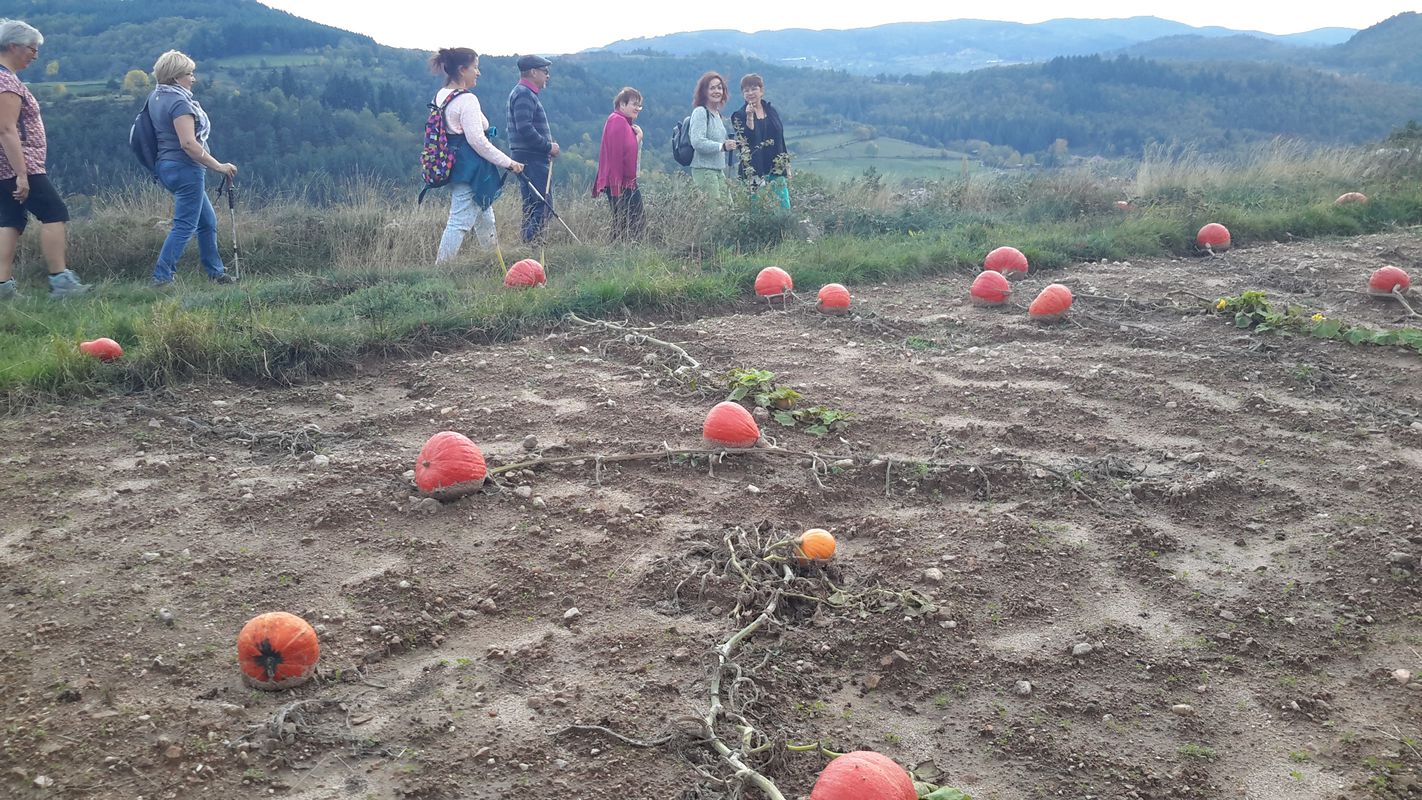 Autour de Lamastre 2019-10-27