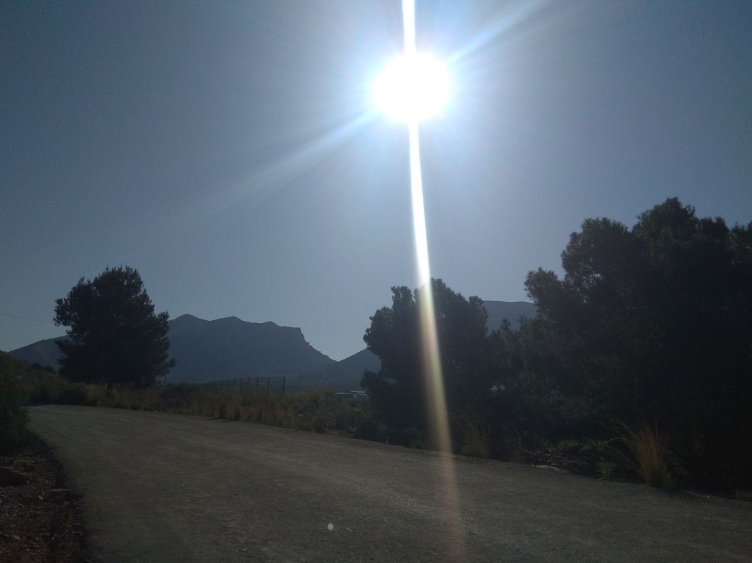 181 zeneta matanza de Orihuela