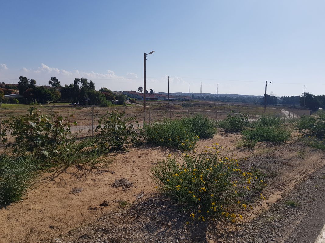 good weekend from Ashkelon to Karmia
