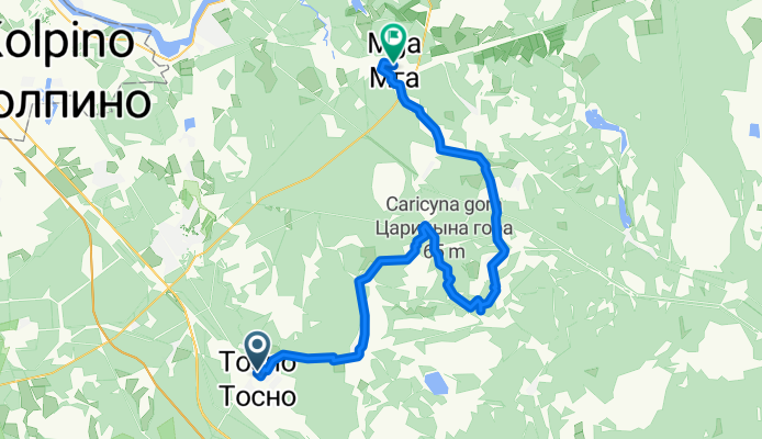 Mga_R41_Shapki_Kirsino_41А-003_Tosno