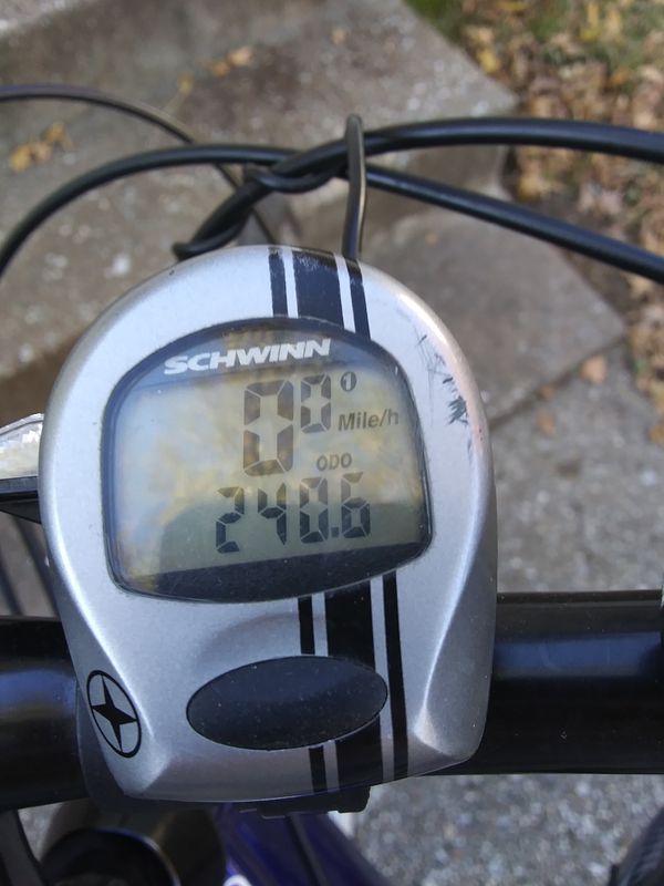 Rode bicycle to go vote then back home!!!