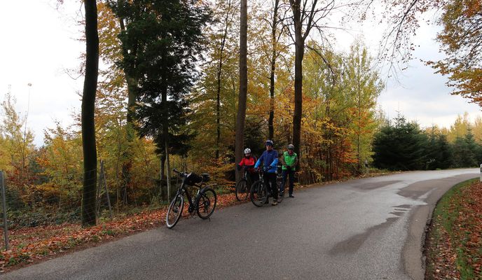 Foto 2 der Bikemap-Route "Wörth-Kronwieden-Rimbach-Ottending-Hofdorf-Mengkofen-Tunzenberg-Obertunding-Unterhollerau-Weng-Rothaus-Lichtensee-Wörth"