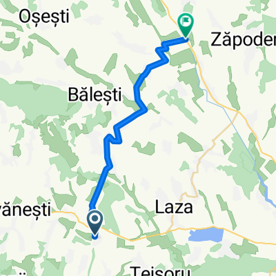 Poienesti Brahasesti