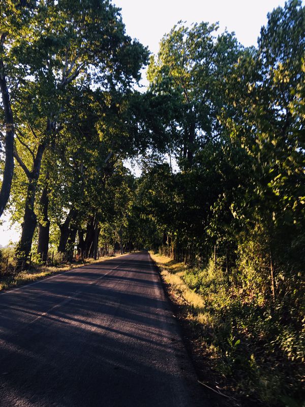 Ruta supersónica en Rengo