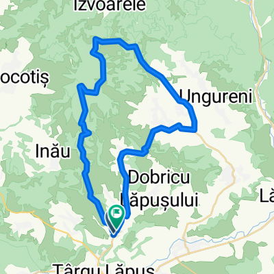 Targu Lapus