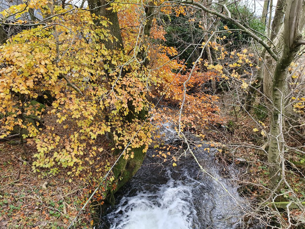 Winter Ride no 1 Home Auchterhouse Home