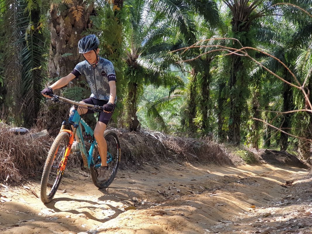 宁静的路线 Tanjung Rambutan