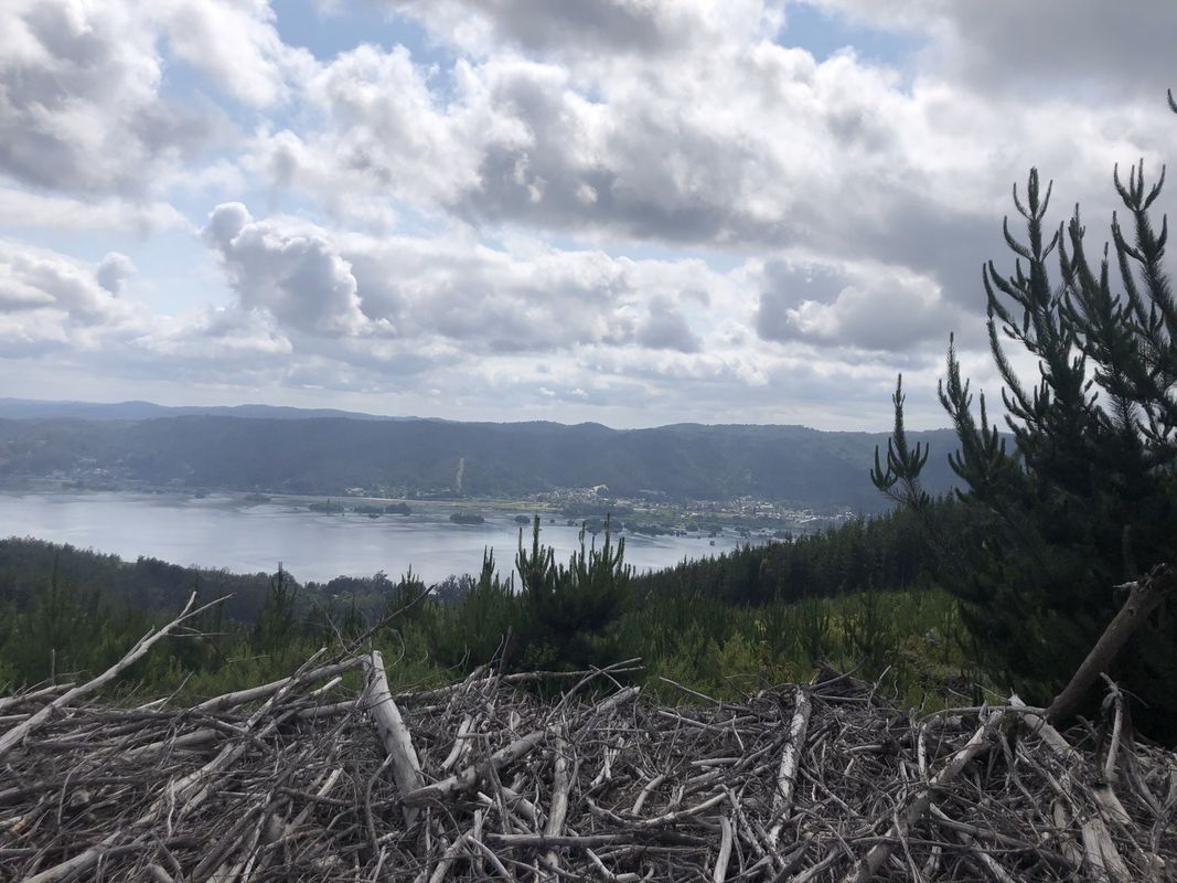 Condominio-Pata de gallina