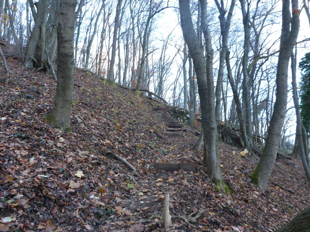 Easy ride in Pilisszántó