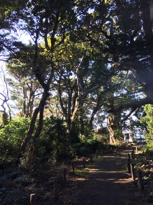 Senbon to Kirameki Hill, Ita