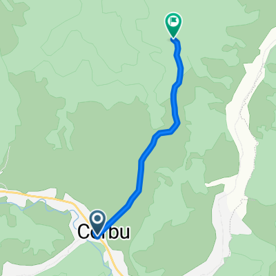 Piatra Șoimilor