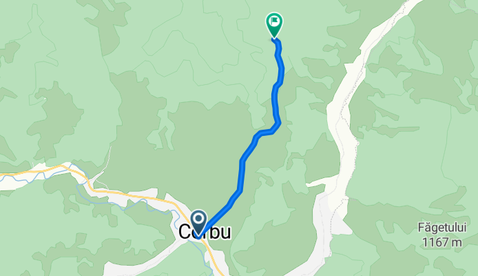 Piatra Șoimilor