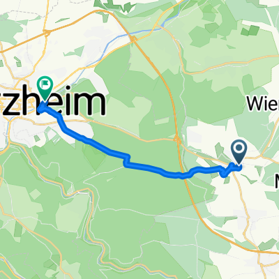 Mörderische Fahrt in