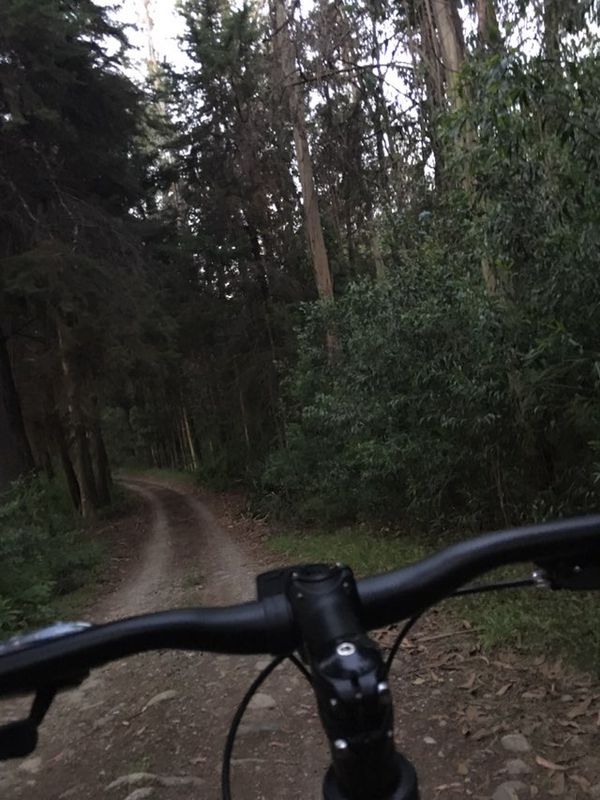 Ruta moderada en Arauco
