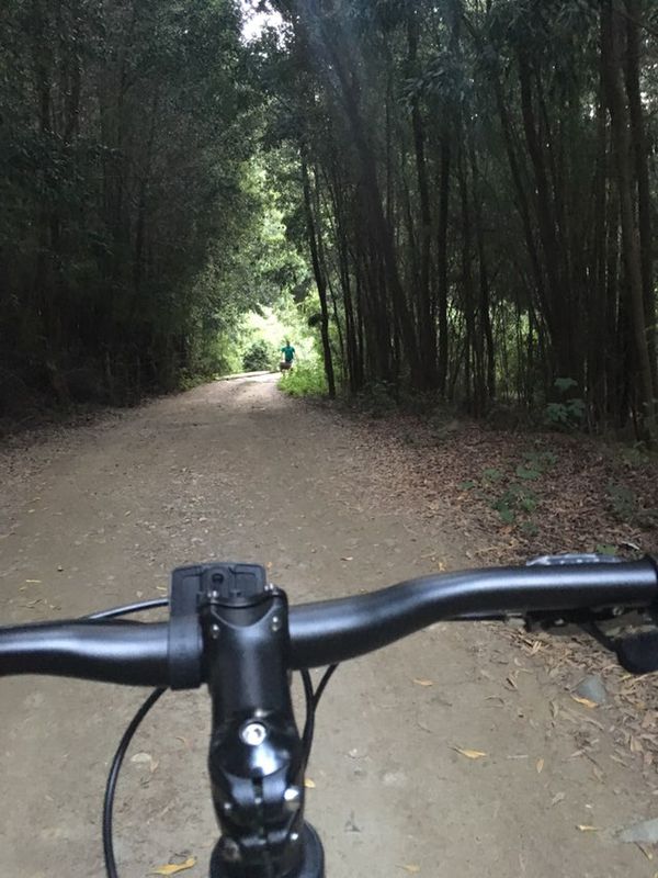 Ruta moderada en Arauco