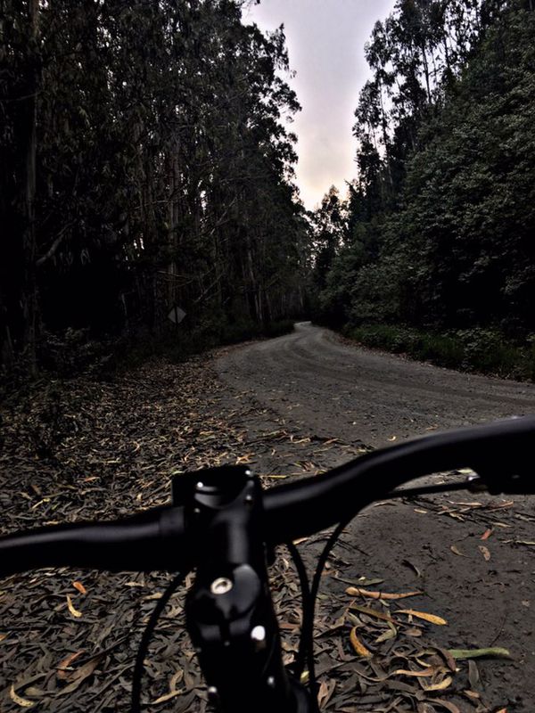 Ruta constante en Arauco