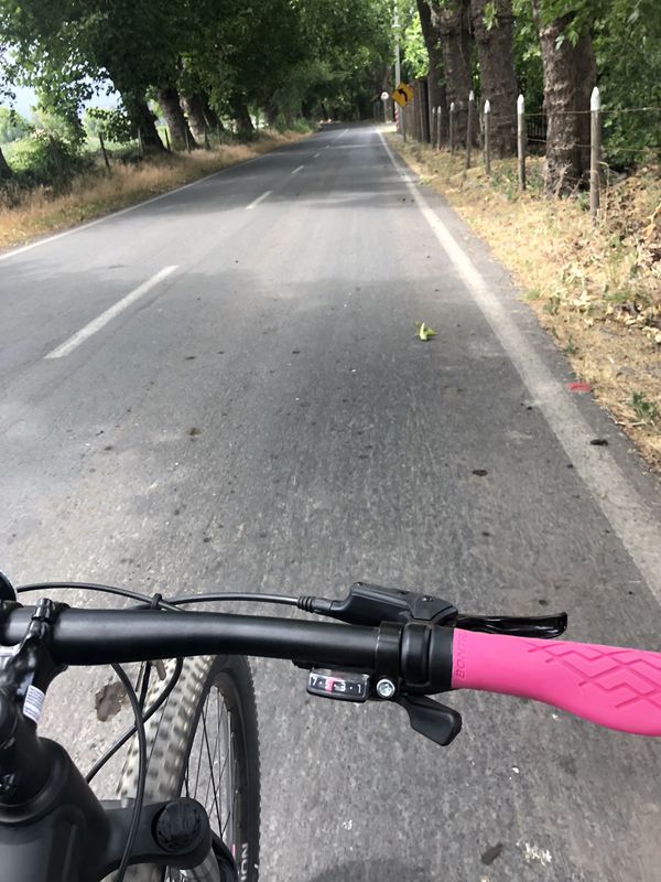 Paseo lento en Quinta de Tilcoco