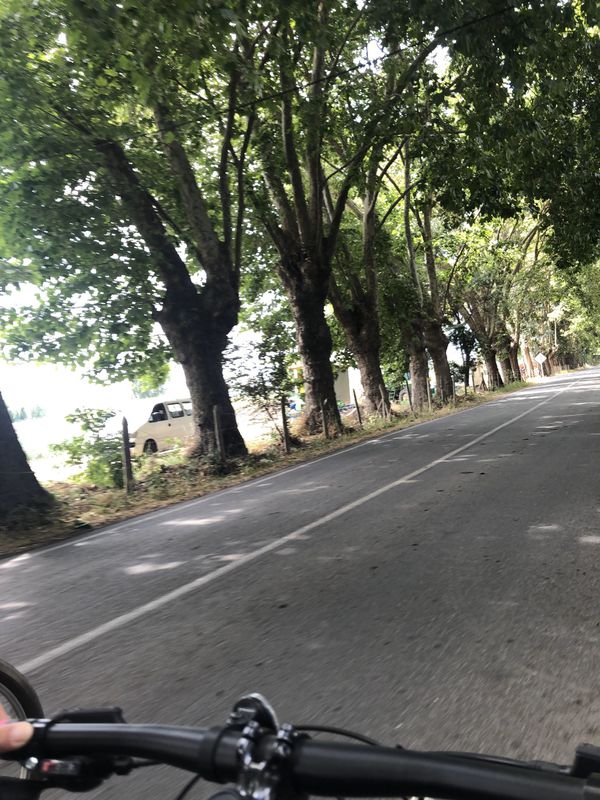 Paseo lento en Quinta de Tilcoco