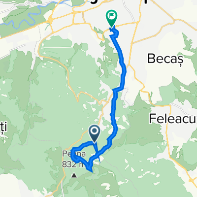 Easy ride in Cluj-Napoca