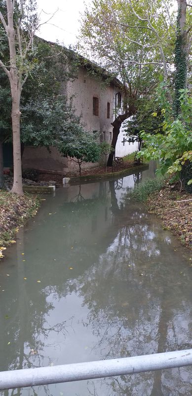 Giro breve ma veloce in Pradamano