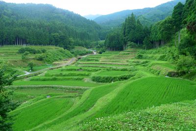 POI Foto 2: J-Hoppers Lake Biwa Guesthouse