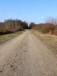 Hebe Bild 5 entlang der Bikemap-Route "Wahnheide" hervor