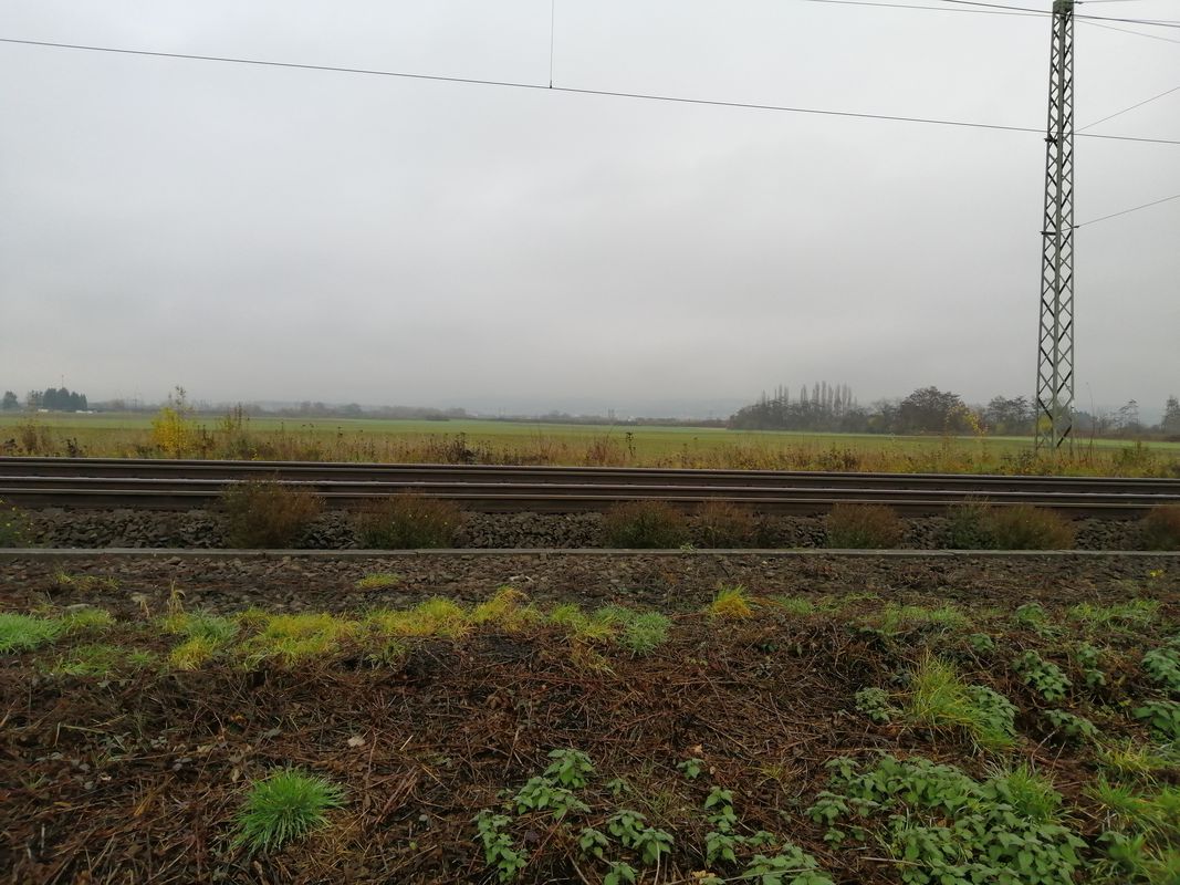 Fahrt von Mühlheim Kärlich (hin und zurück)