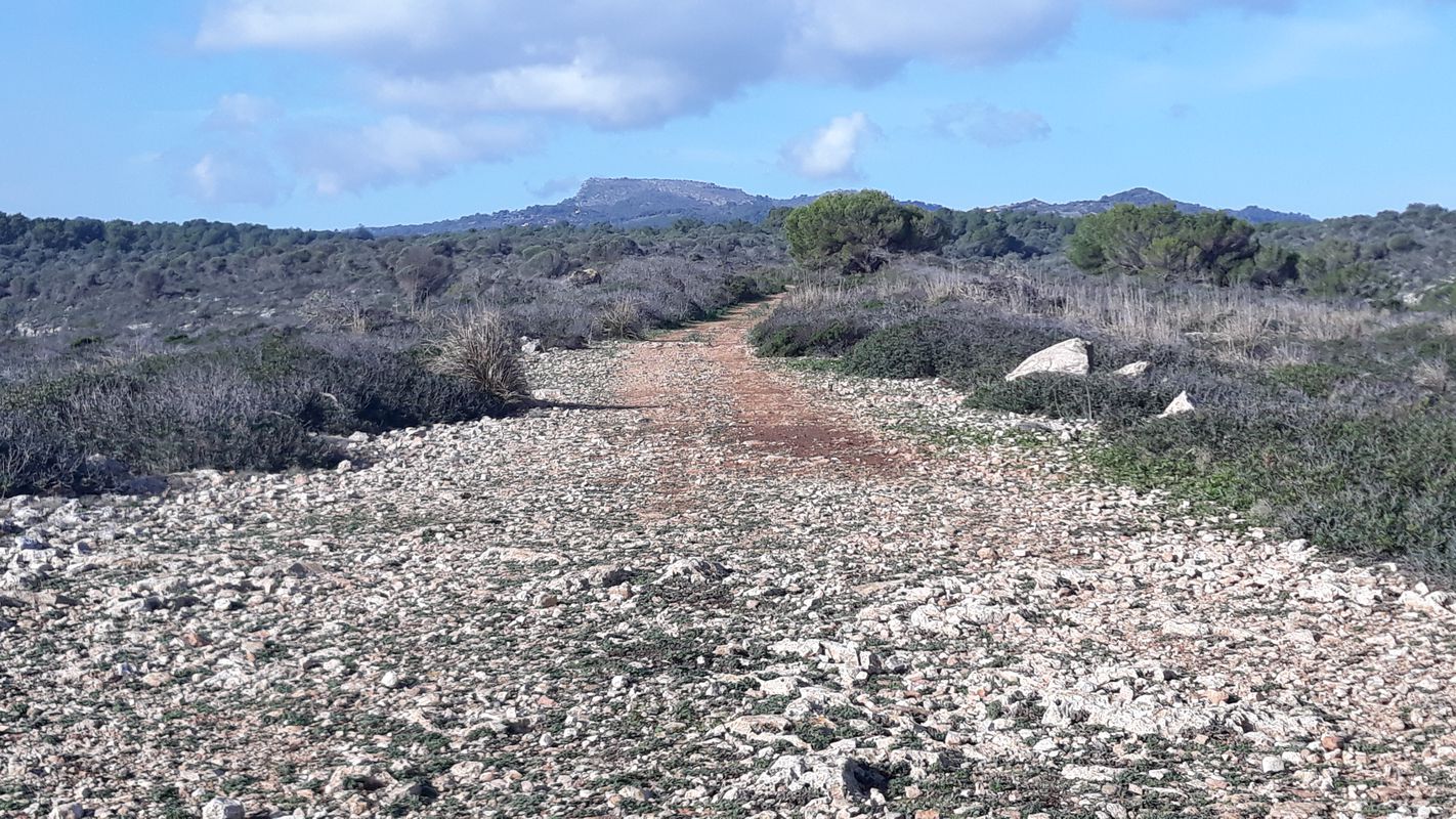 Manacor/Son macia/Calas de Mallorca