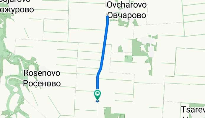 Чесовник ДОШ 2010