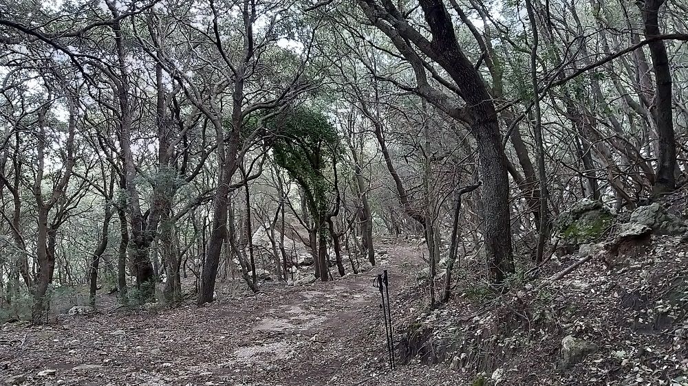 Mallorca a peu: cim i volta al puig de sant Miquel (Alaró)