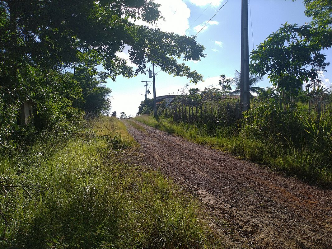 Trilha Barquinho