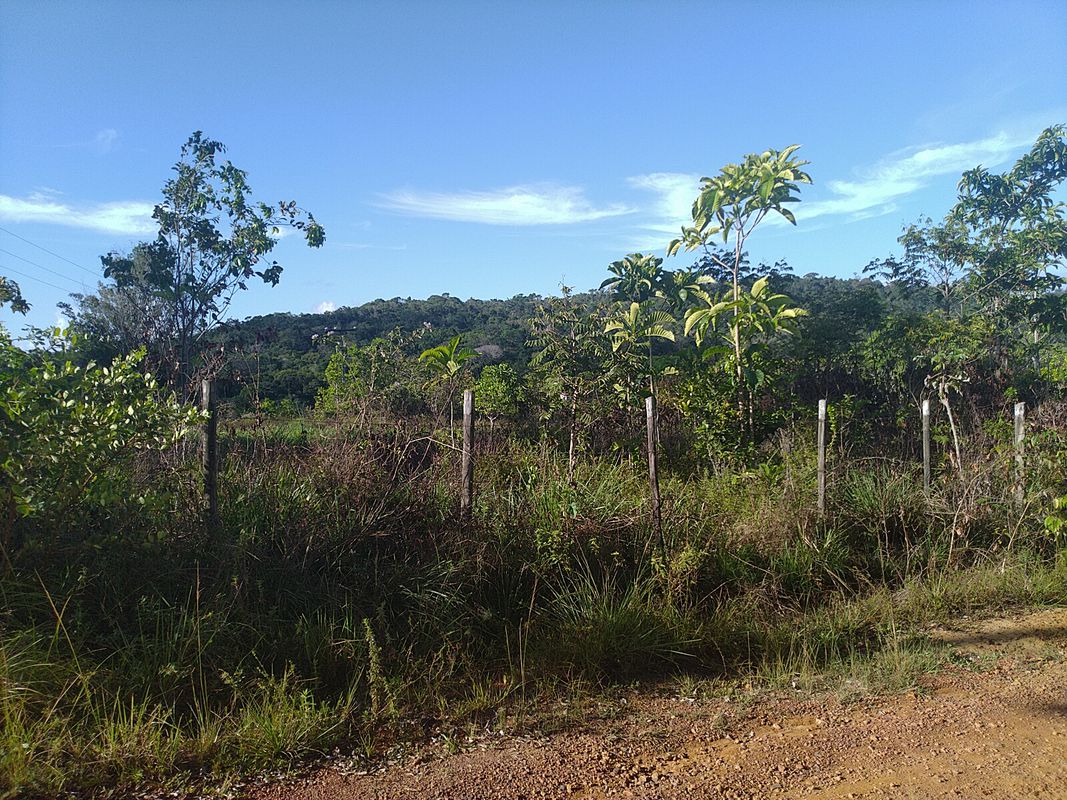 Trilha Barquinho