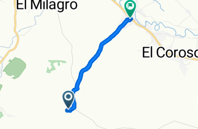 Route in der Bikemap App öffnen