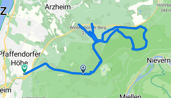 Schnittenhöhe