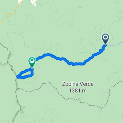 MTB POIANA INTARCATOAREA-VALEA CASINULUI-TREI HOTARE poteca 3-4